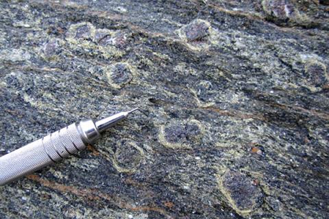 Minerals are visible in rock samples from the coast of Oman