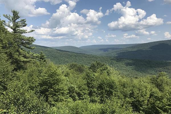 Mountain view with trees, blue sky and white clouds