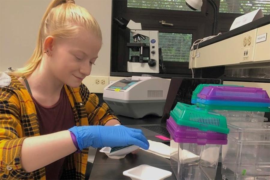 student working in lab